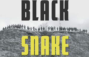 Cropped Black Snake book cover.