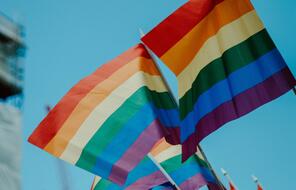 Picture of rainbow flags.