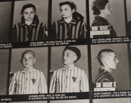 Auschwitz photos taken of imprisoned children
